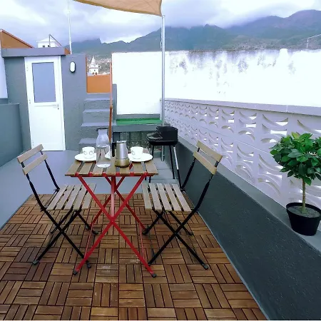 Live Las Palmeras Con Gran Terraza *