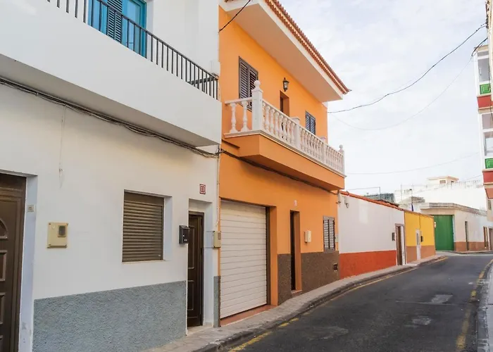 Live Palmeras Con Gran Terraza