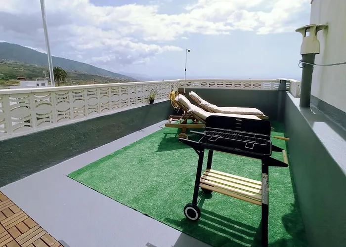 Live Palmeras Con Gran Terraza